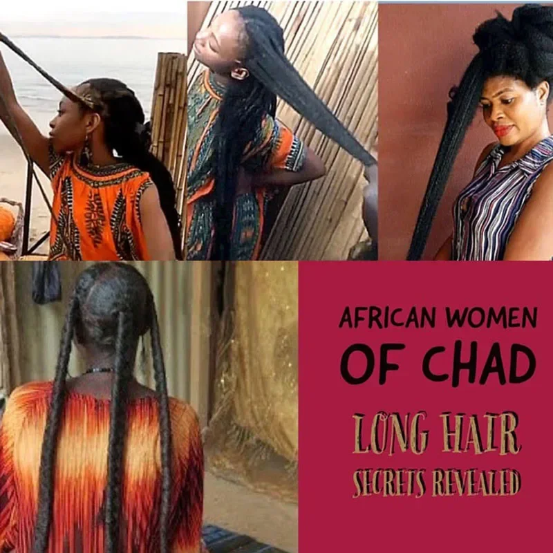 Africa Women Traction Alopecia - đánh giá và giá Hair Care Ginseng