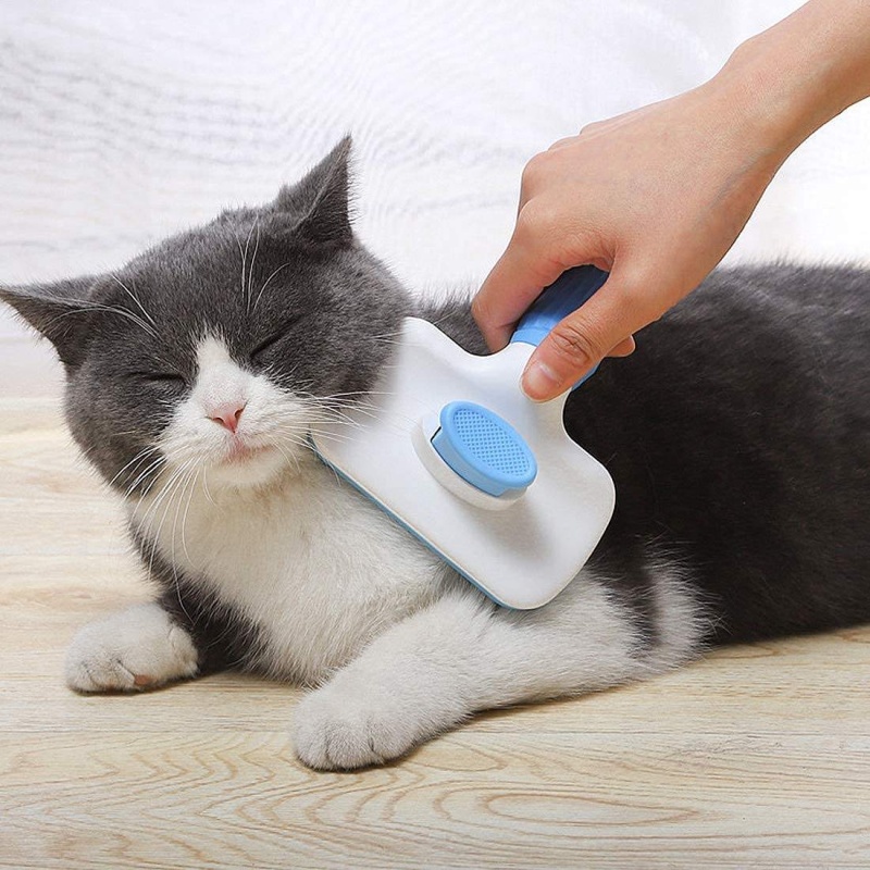 Self‑Cleaning Slicker Brush Pe - đánh giá và giá Hair Care Is Self Care